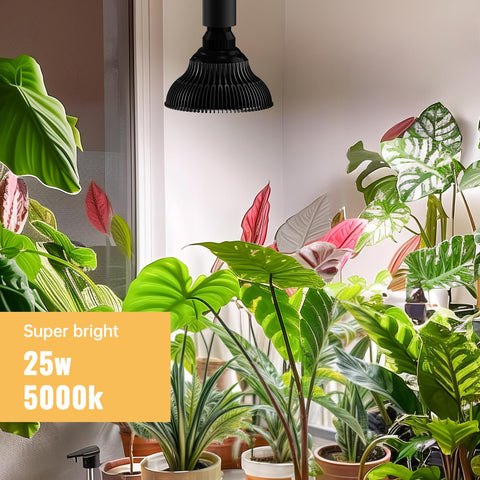 SpeePlant LED timer system enables automatic cycles for consistent plant lighting.