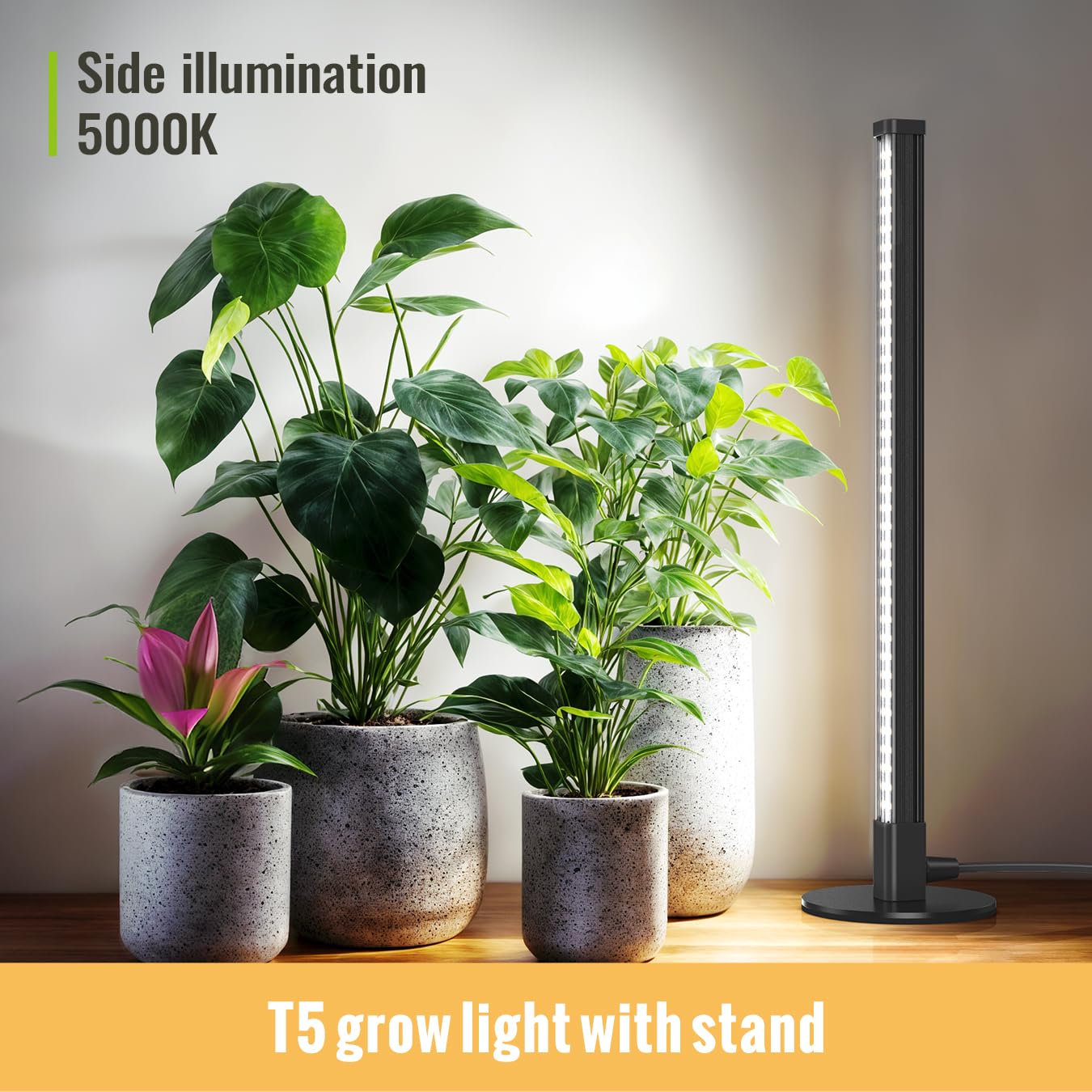 SpeePlant non-slip metal base keeps the lamp steady during use.