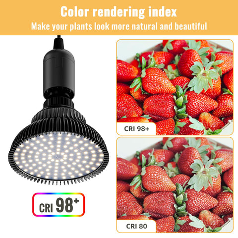 SpeePlant seed-starting light setup suitable for early indoor gardening.