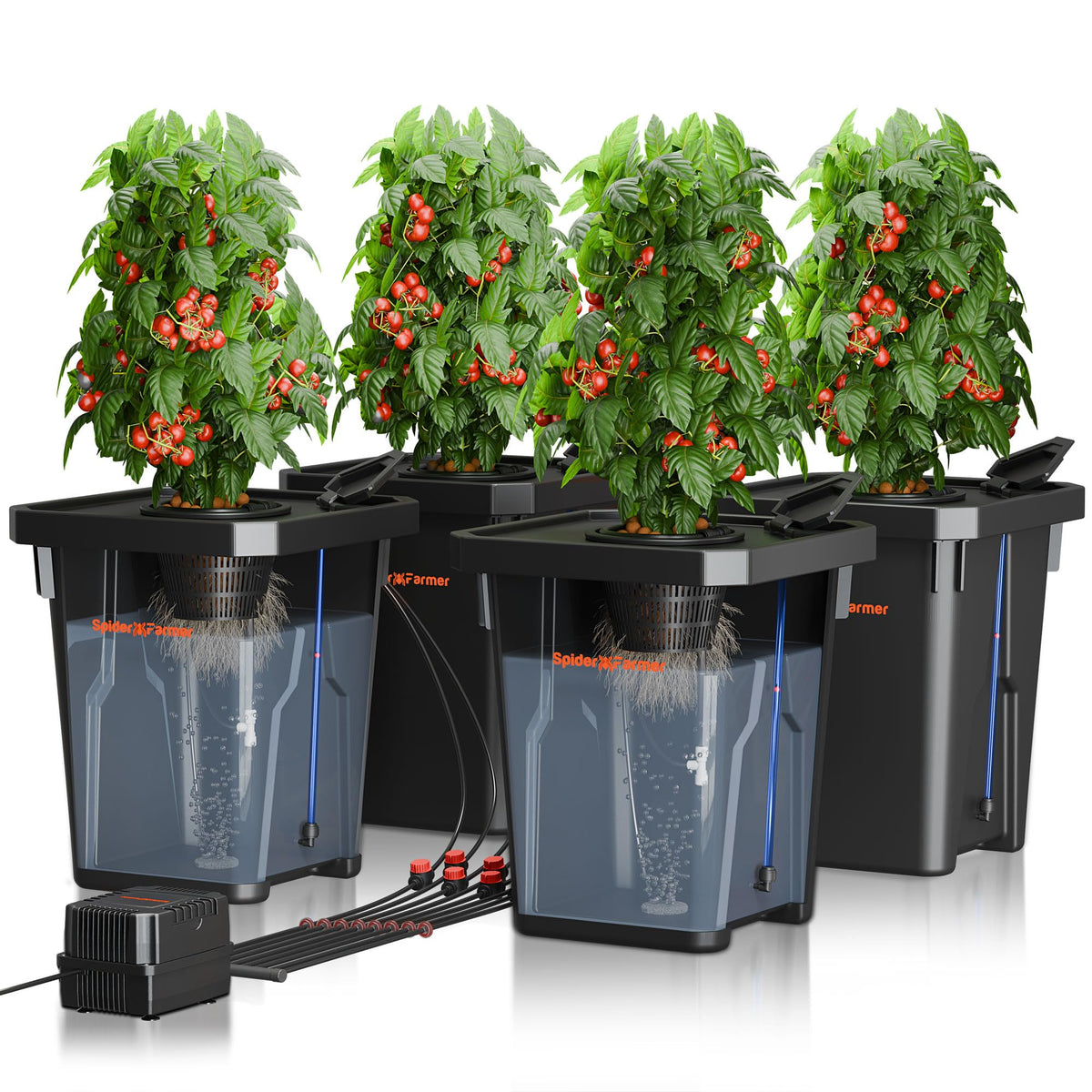 Spider Farmer DWC buckets showcased in a compact hydroponic setup for root oxygenation.