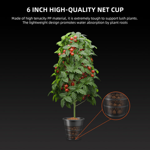 Spider Farmer DWC tubing and stones ensure reliable oxygenation.