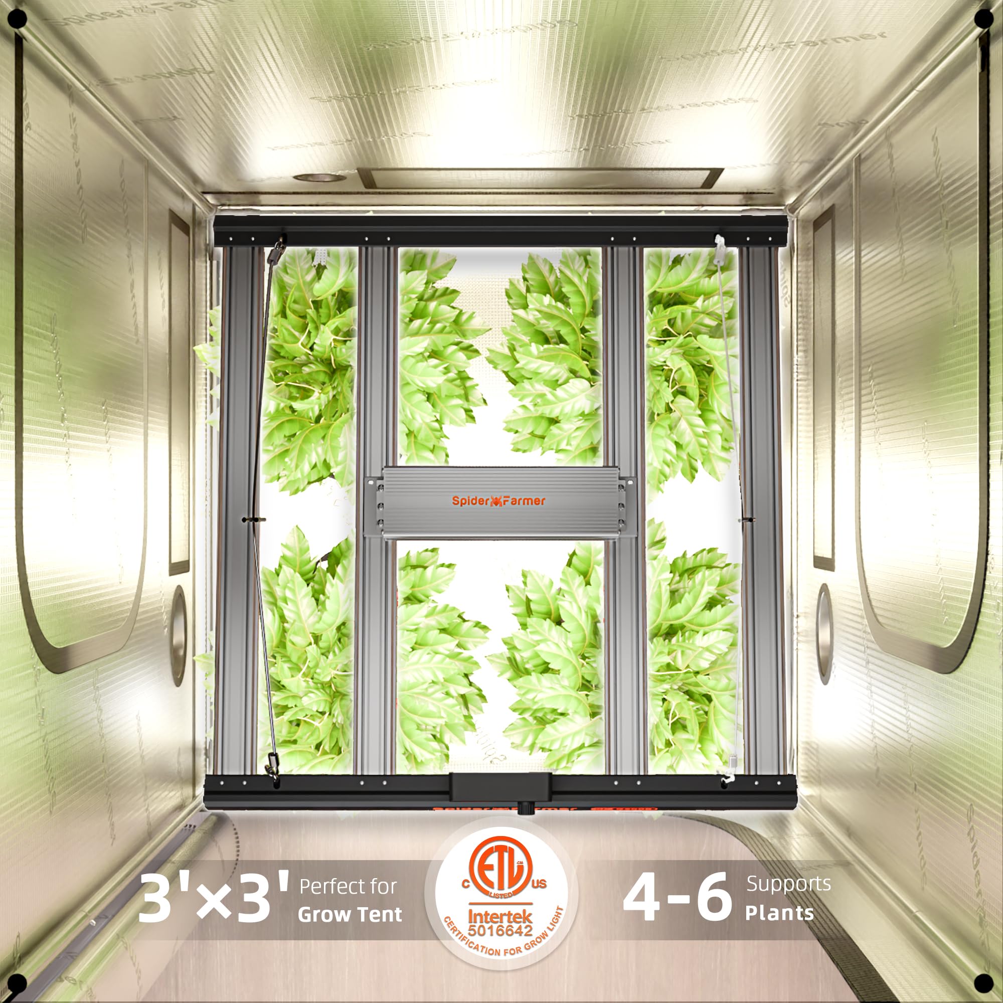 Spider Farmer G3000 eco‑efficiency emphasis on 300W output and PPE value.