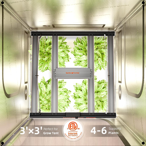 Spider Farmer G3000 eco‑efficiency emphasis on 300W output and PPE value.