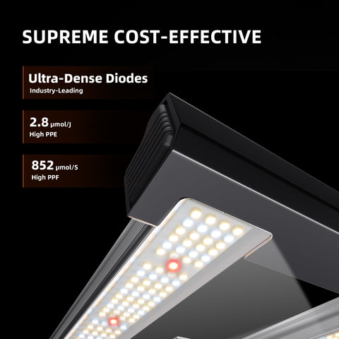 Spider Farmer G3000 full-spectrum diodes highlighting versatile growth capabilities.