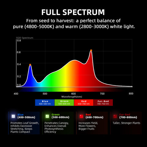 Spider Farmer G3000 three-by-three-coverage view for compact grow spaces.