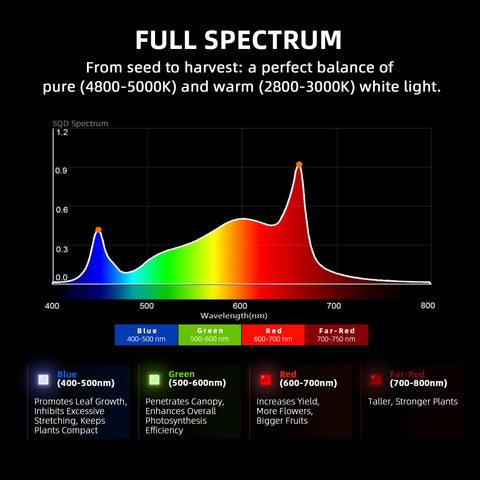 Spider Farmer G4500 warm-cool spectrum suits seed-to-harvest cycles.