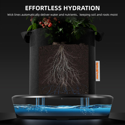 Spider Farmer gravity-fed base kit with four self-watering bases for scalable setup.