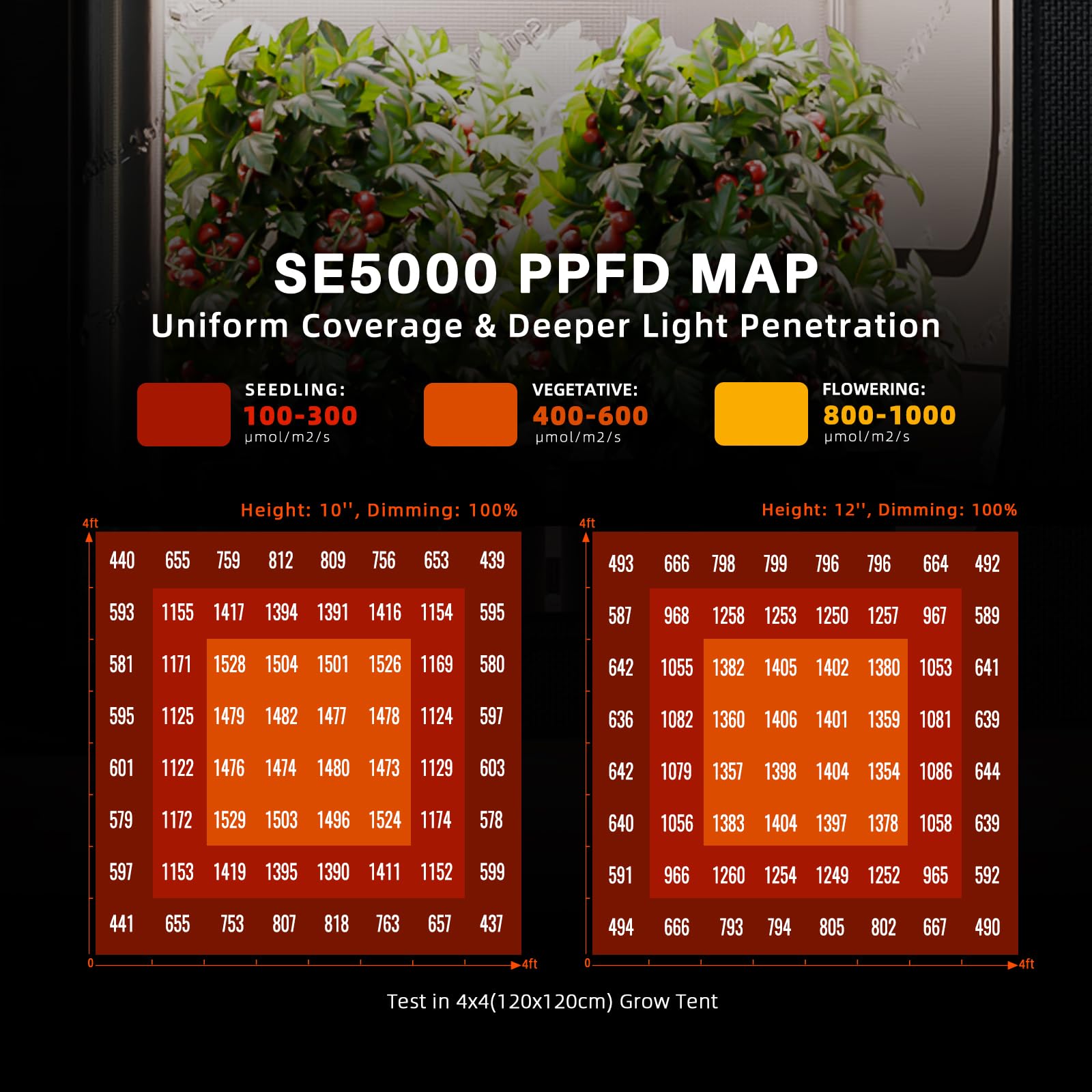 Spider Farmer SE5000 4x4ft coverage demonstrates uniform light across grow area