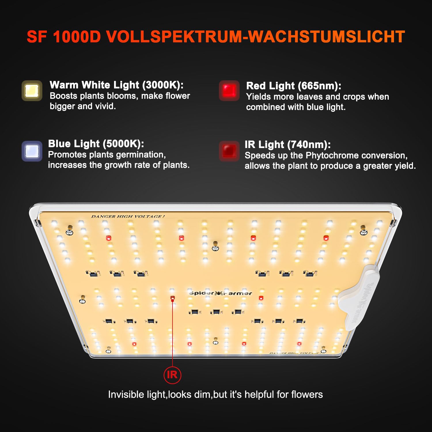 SF1000D LED board view shows uniform light distribution across canopy