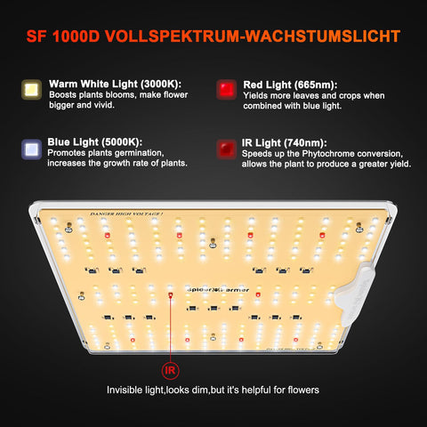SF1000D LED board view shows uniform light distribution across canopy