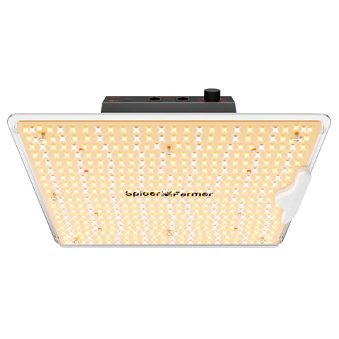 Spider Farmer SF1000D overhead lighting in a compact veg area offers quiet, energy-efficient illumination.