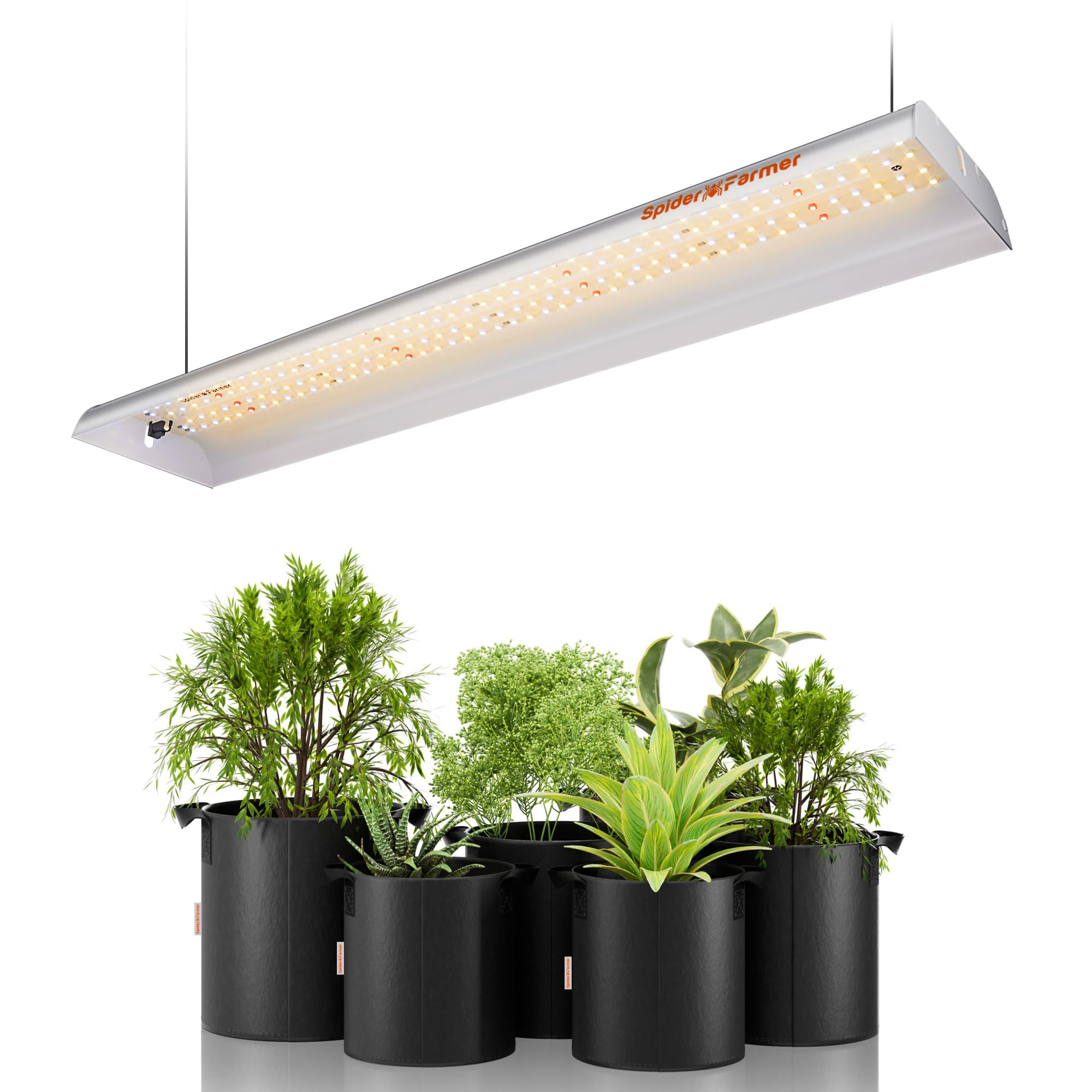 Spider Farmer SF300 LED grow light front view showing compact, space-saving design for tight spaces.