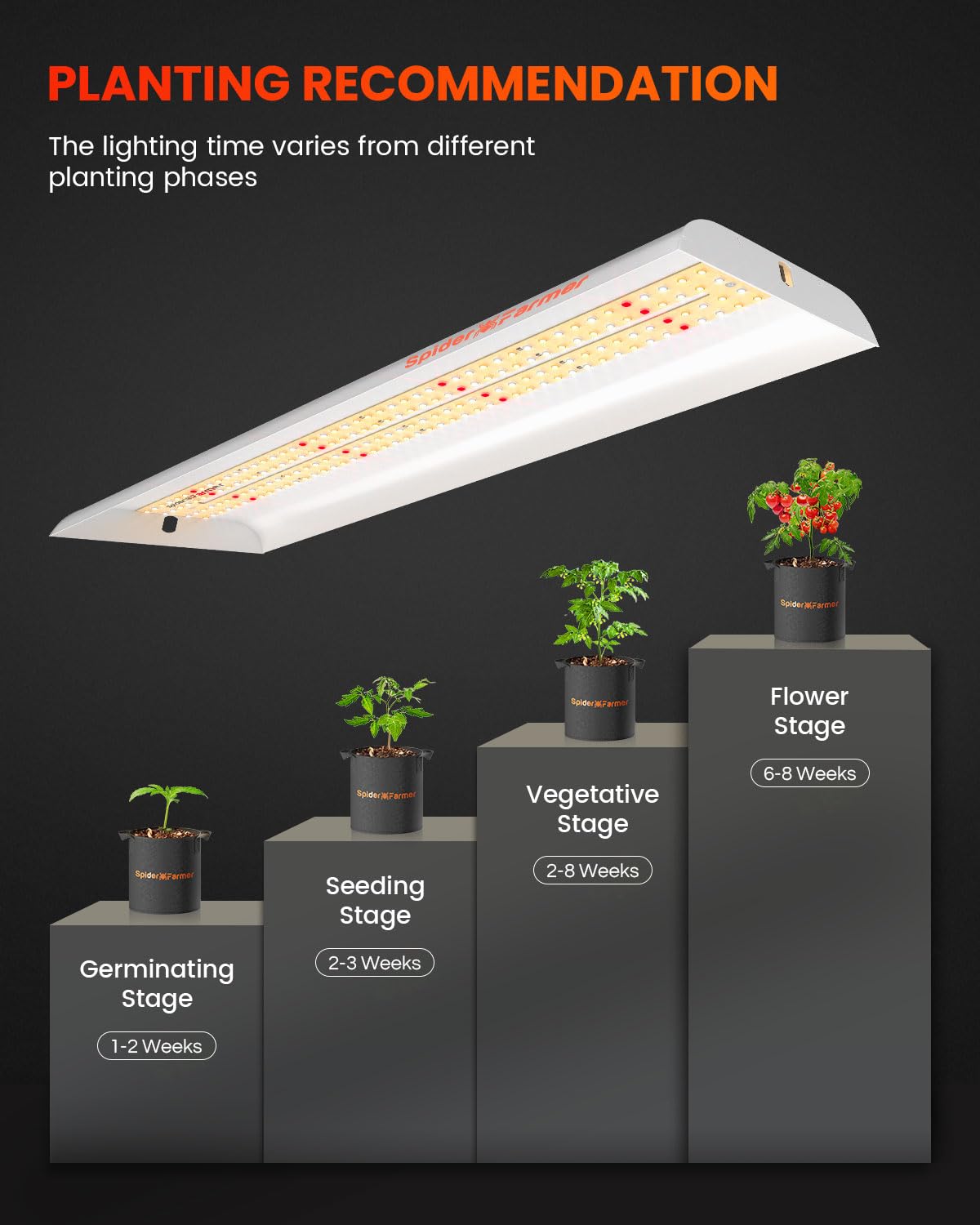 SF300 installed in a closet or shelf setup enabling discreet, efficient indoor cultivation.