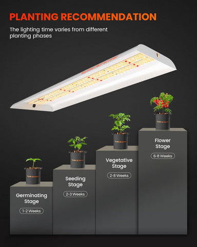 SF300 installed in a closet or shelf setup enabling discreet, efficient indoor cultivation.