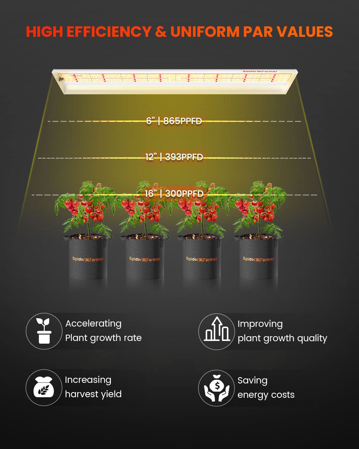 SF600 demonstrates 2x4 ft coverage for indoor grows