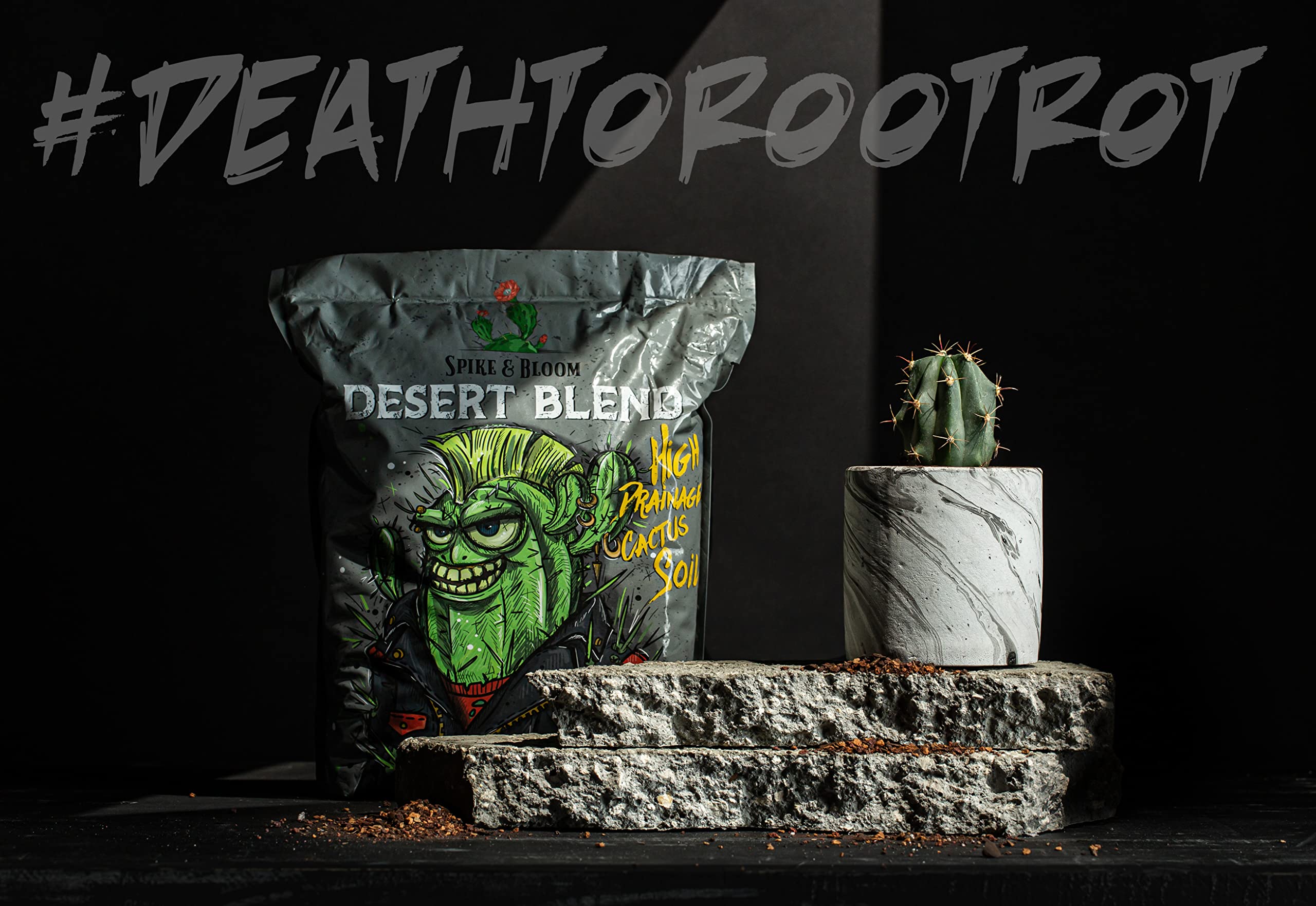Spike & Bloom gritty cactus soil texture highlights fast drainage for succulents.