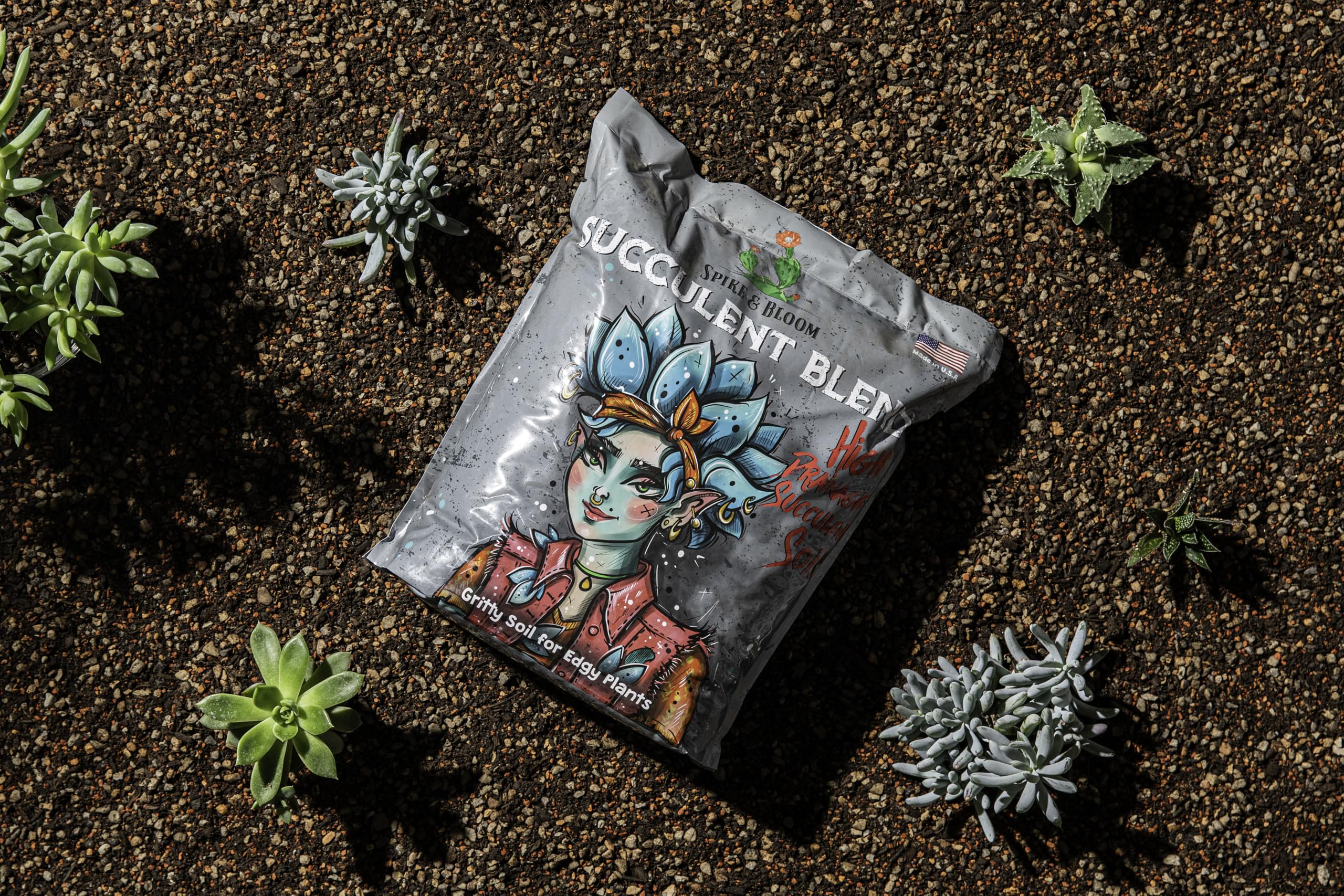 Spike & Bloom gritty-texture succulent soil aids aeration and drainage in containers.