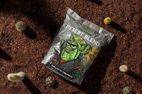 Spike & Bloom indoor succulent setup uses this soil for healthy growth.