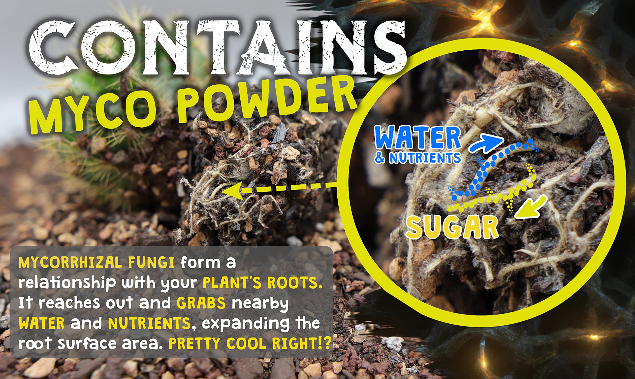 Spike & Bloom mycorrhizal fungi powder aids nutrient uptake.