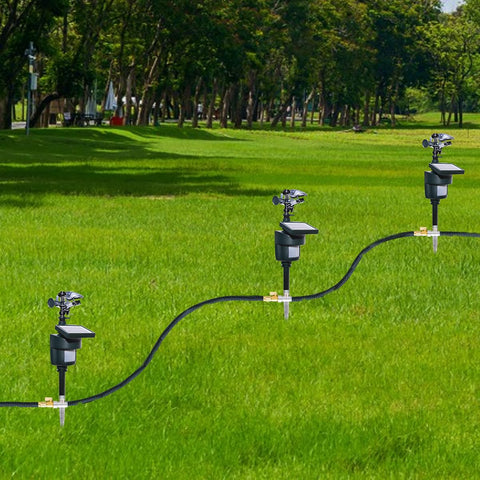 Splanteen garden deterrent protects birds, dogs, cats, and other visitors