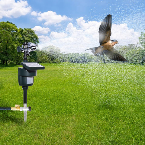Splanteen hose-connection-types illustrate simple setup options for any faucet
