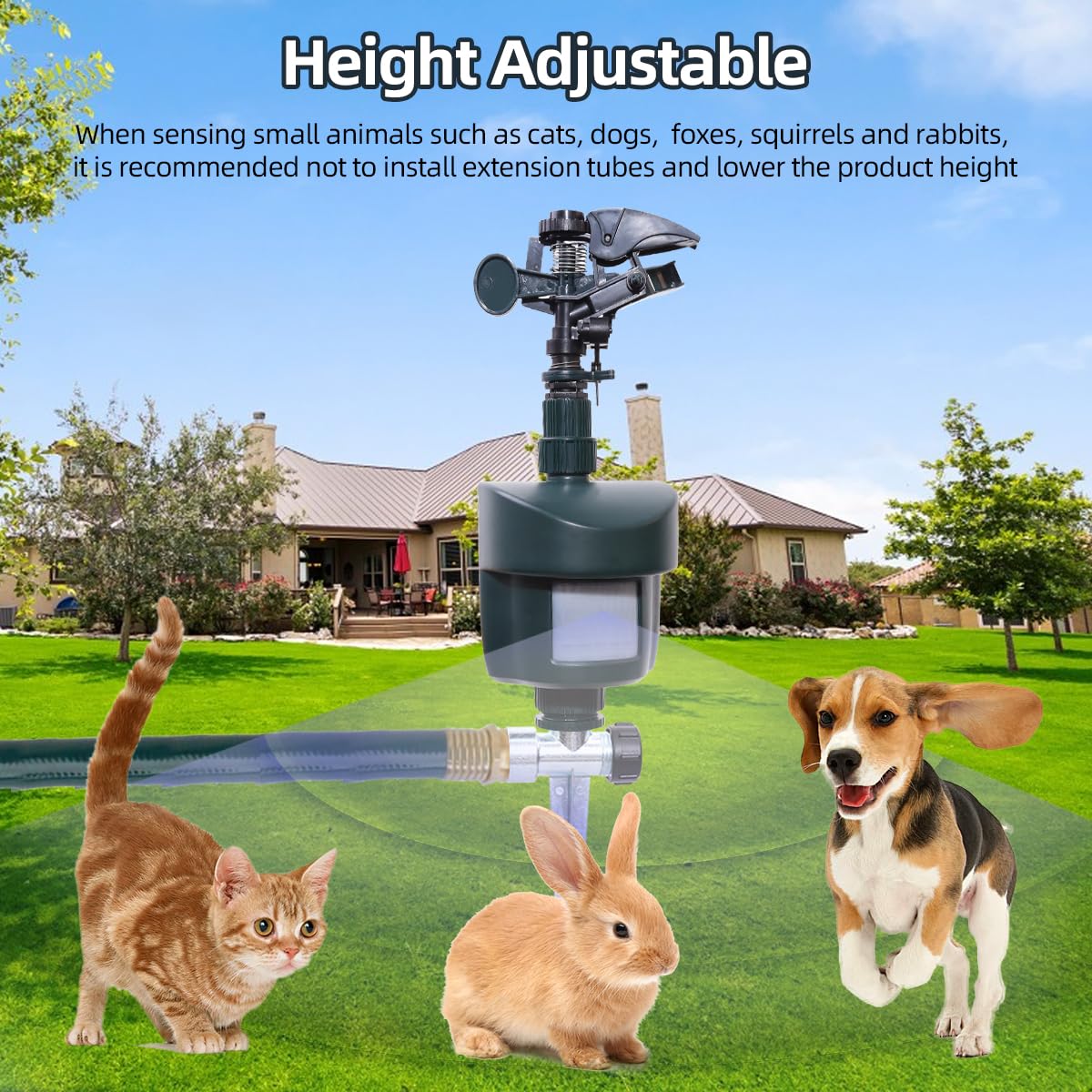 Splanteen motion sprinkler keeps yards tidy by deterring wildlife.