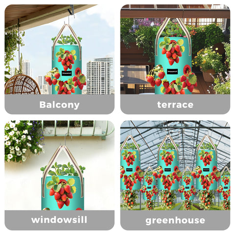 SPONDWILD 3-pack keeps gardening organized and scalable at home.