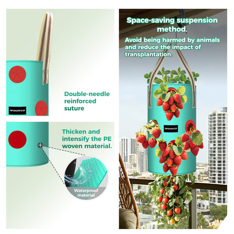 Hanging design elevates fruits to reduce ground contact in a Spondwild bag.