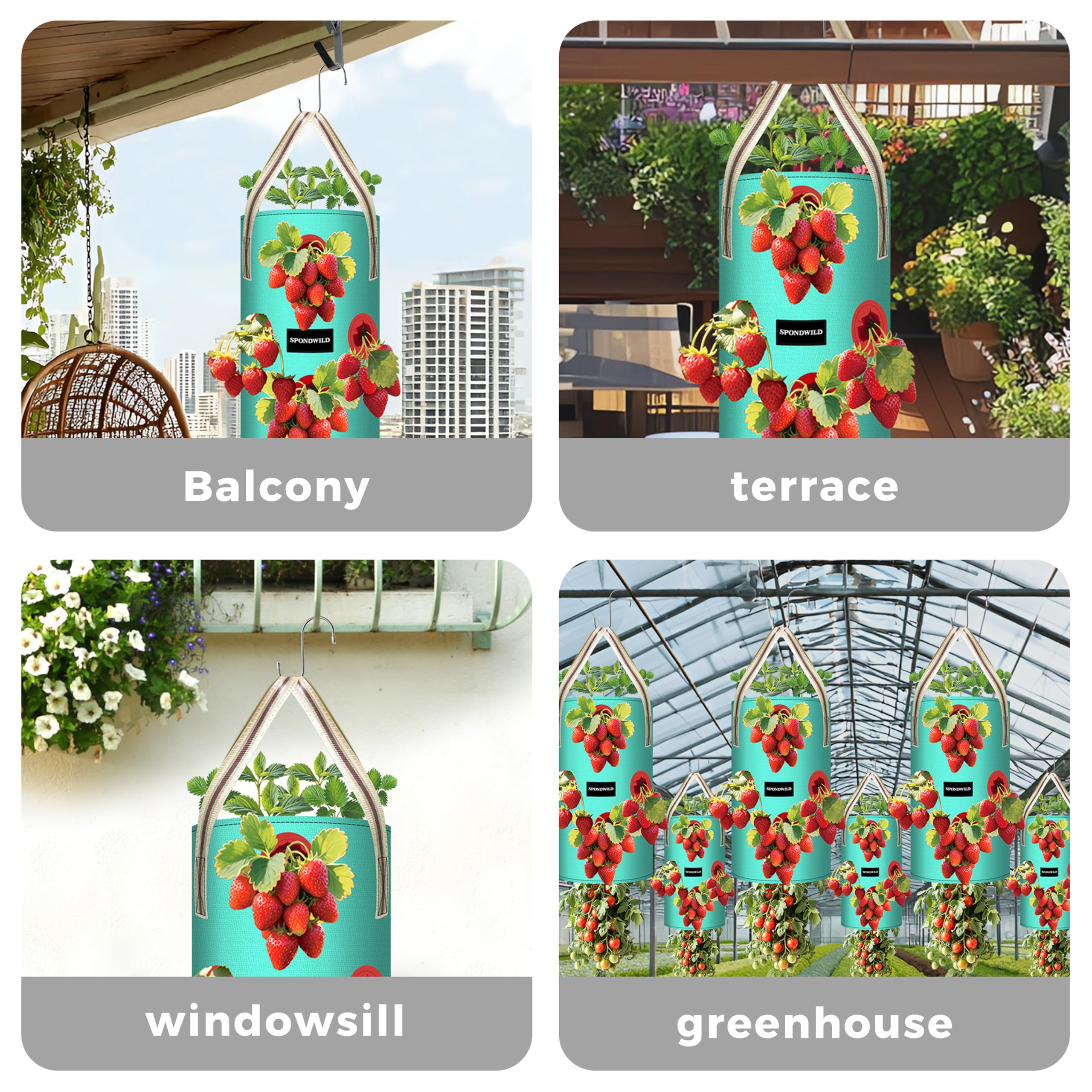 SPONDWILD moisture-retentive planter reduces watering frequency