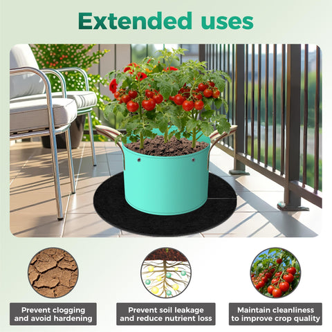 SPONDWILD tree ring blends with beds for a polished landscape look.