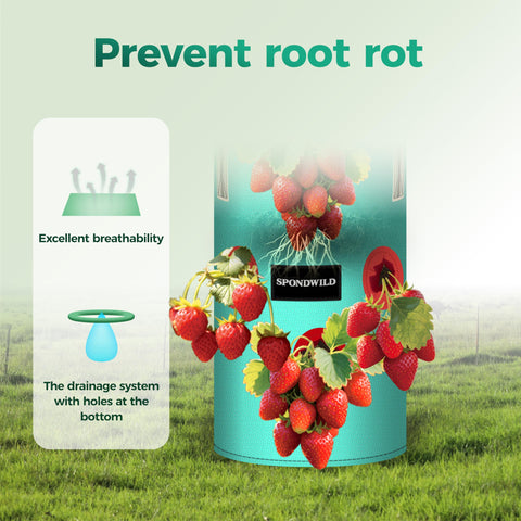 SPONDWILD versatile planter for strawberries, tomatoes, herbs and peppers