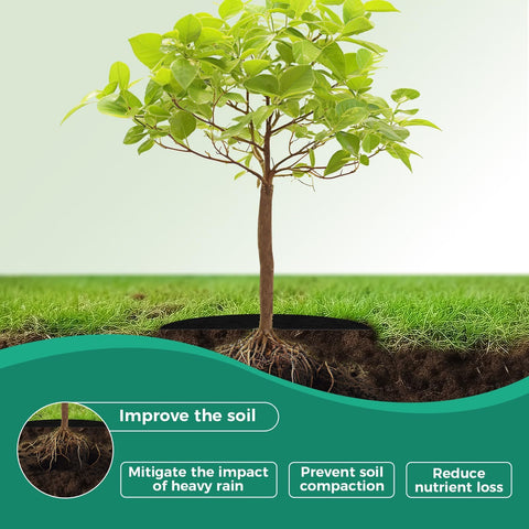SPONDWILD winter protection ring shields roots during cold snaps.