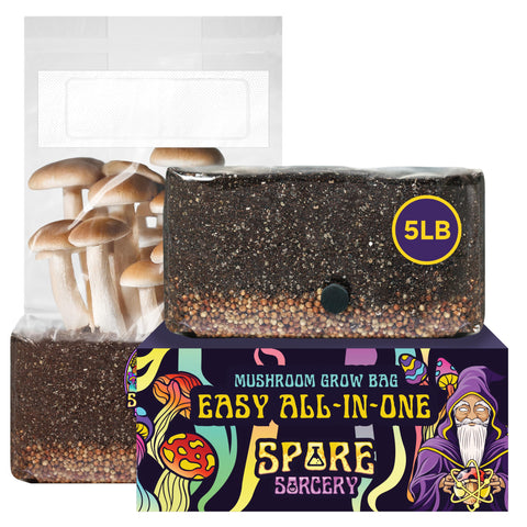 SPORE SORCERY 5lb grow bag with injection port for quick inoculation and fresh harvests.
