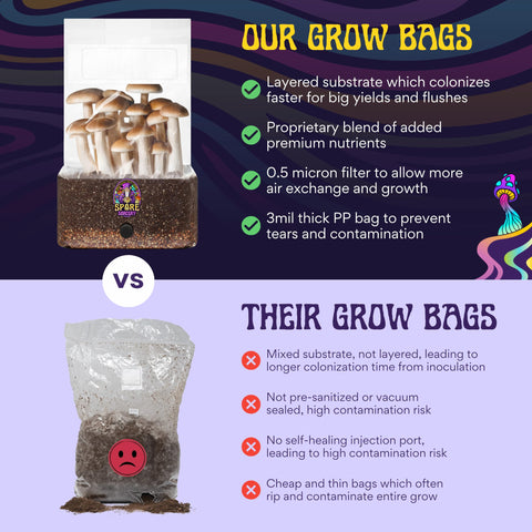 SPORE SORCERY clean, sealed setup minimizes contamination during growth.