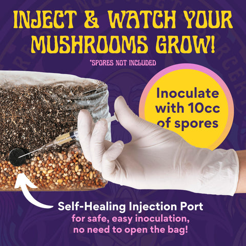 SPORE SORCERY high-yield mushrooms per bag indicating multiple harvest opportunities.