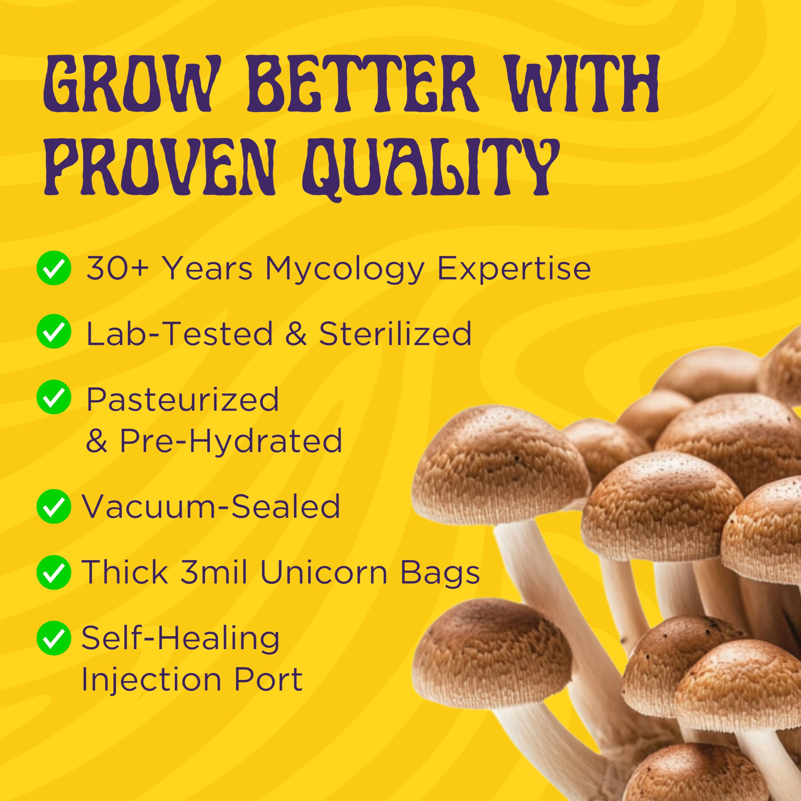 SPORE SORCERY injection guide provides clear steps for beginners.