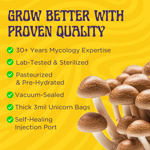 SPORE SORCERY injection guide provides clear steps for beginners.