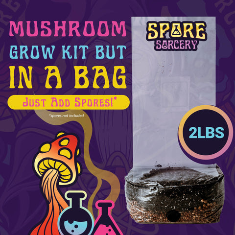 Harvest-ready mushrooms appearing through the bag design