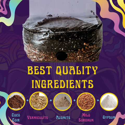 Nutrient-enhanced formula supporting vigorous mushroom growth