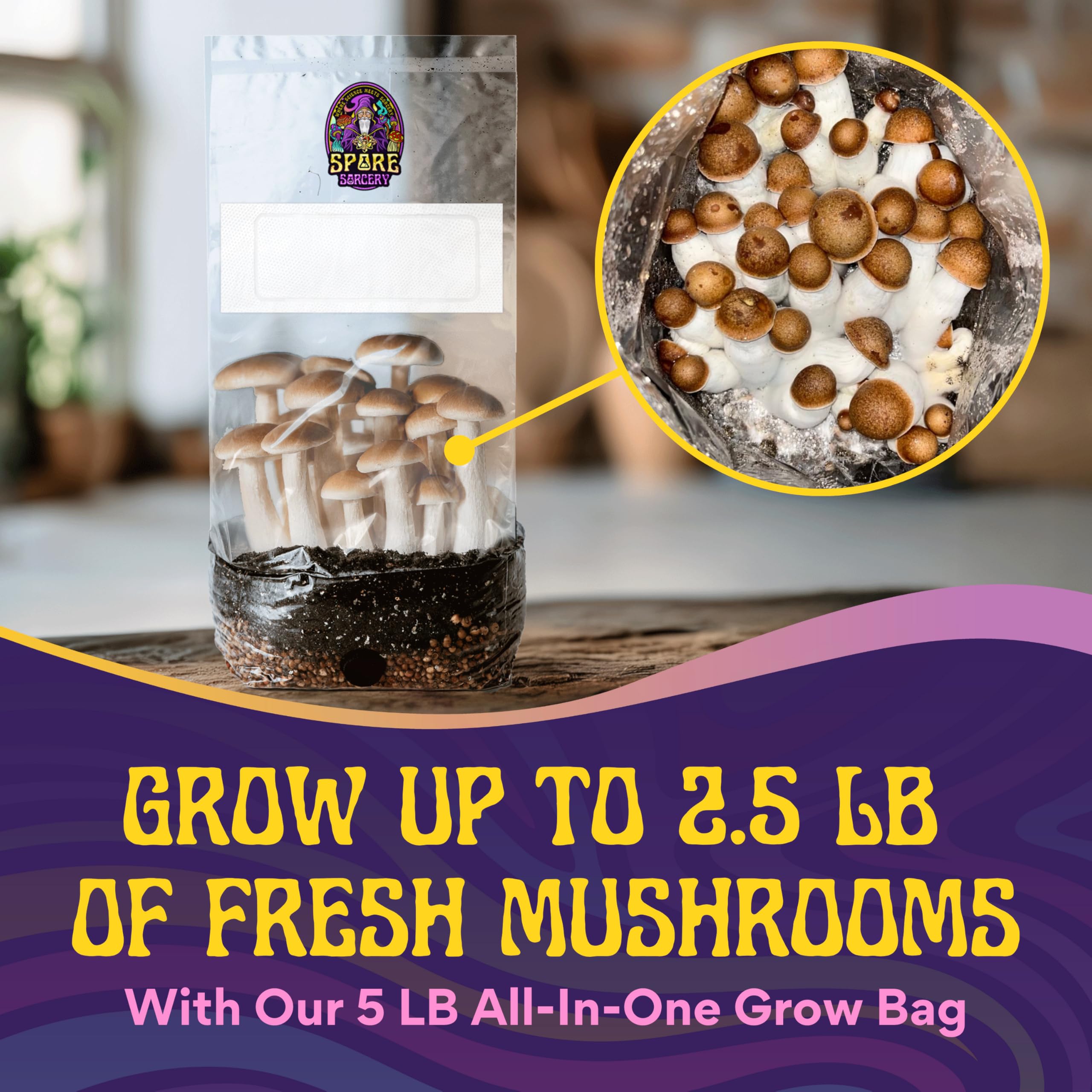 SPORE SORCERY nutrient-enhanced substrate supports robust mycelium growth and steady yields.