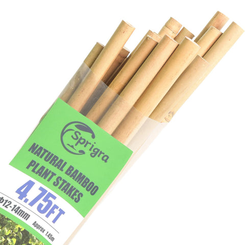 Sprigra 57inch bamboo stake side view supports tall plants securely
