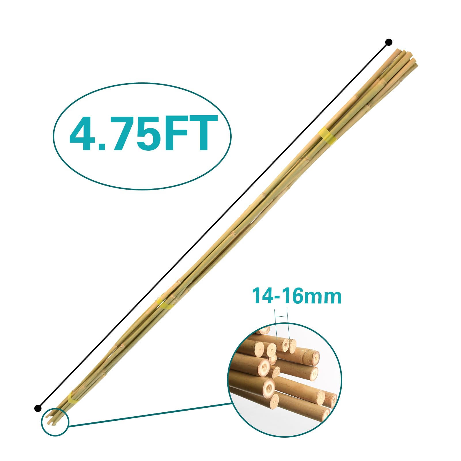 Sprigra bamboo stake ground installation shows easy insertion for quick support
