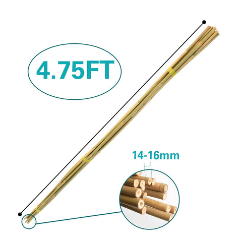 Sprigra bamboo stake ground installation shows easy insertion for quick support