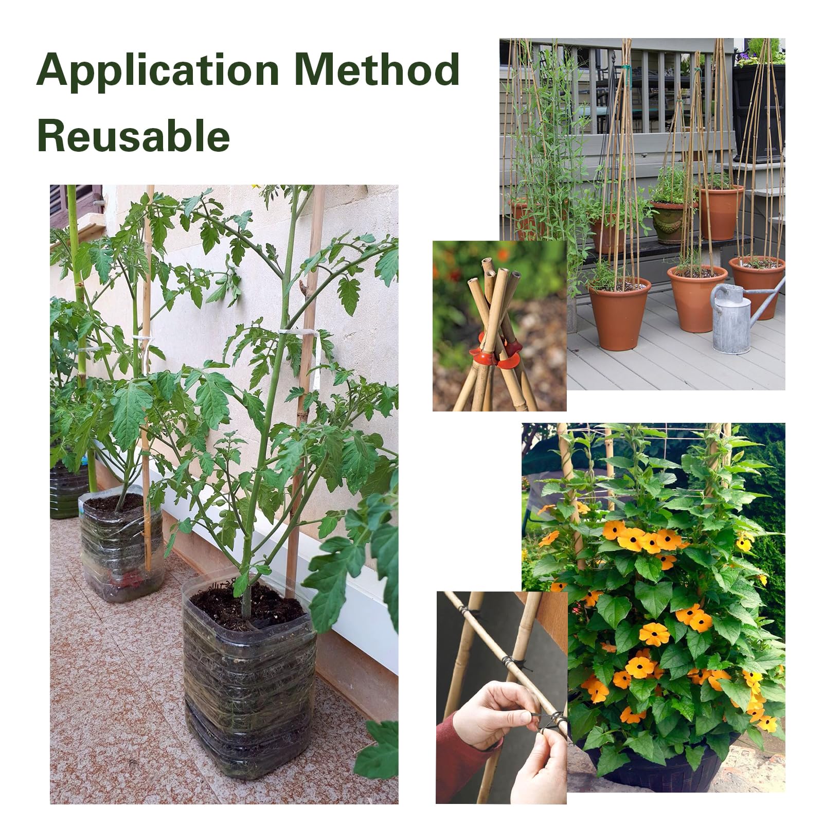 Sprigra bamboo stakes natural and heat-treated for lasting garden durability.