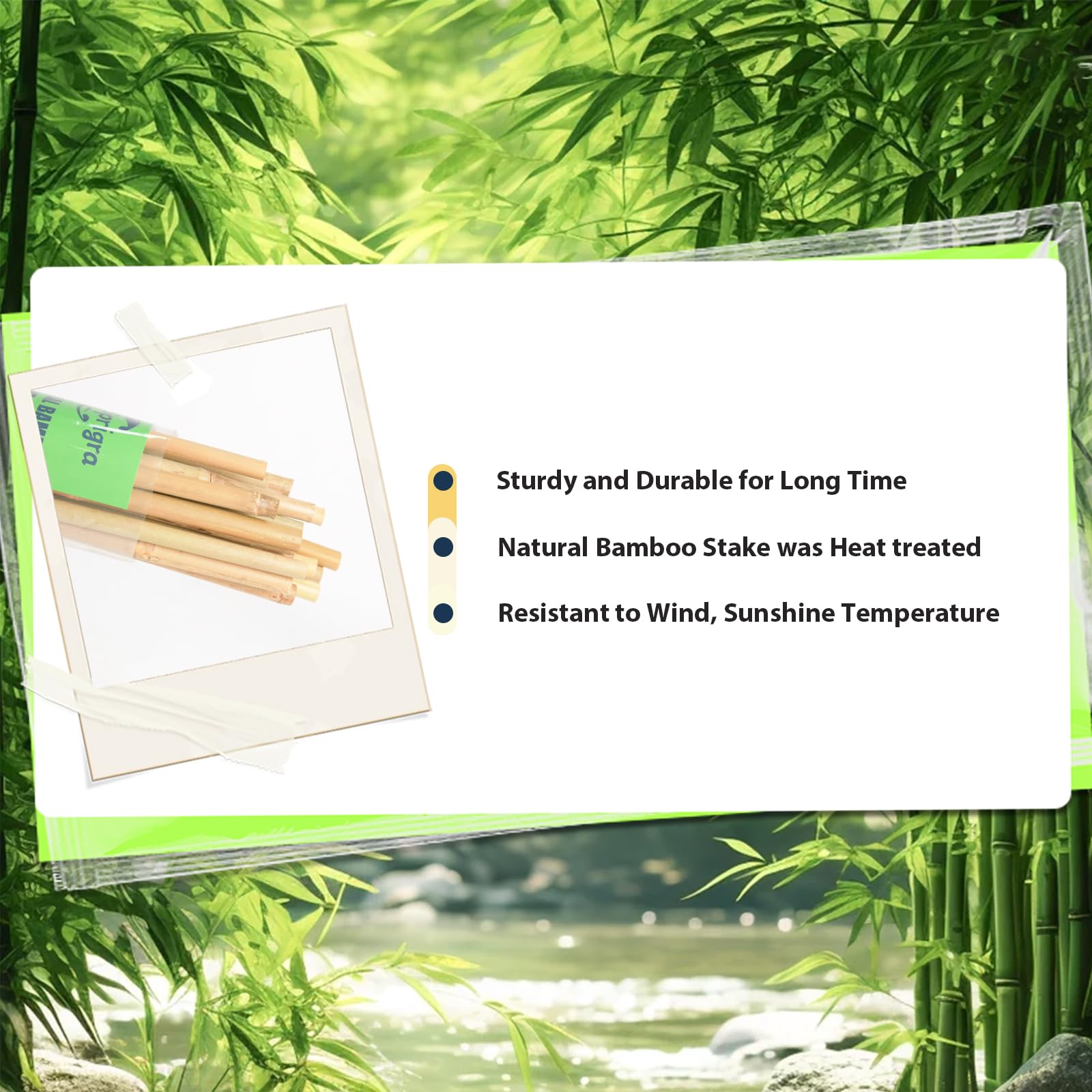 Sprigra 7ft thick-diameter stake designed for durable garden framing and long-term use.