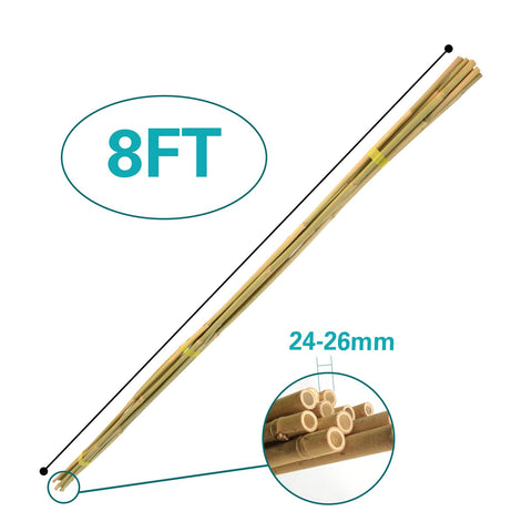 Sprigra bamboo stakes 8ft cucumber stake supports sprawling cucumber vines.