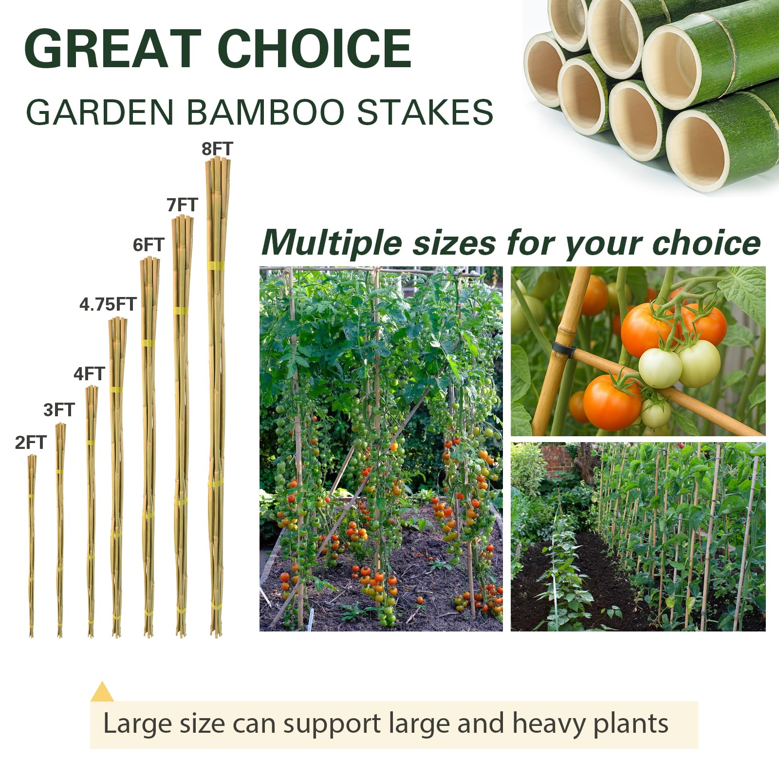 Sprigra bamboo stakes 8ft heavy duty diameter suitable for strong stems.