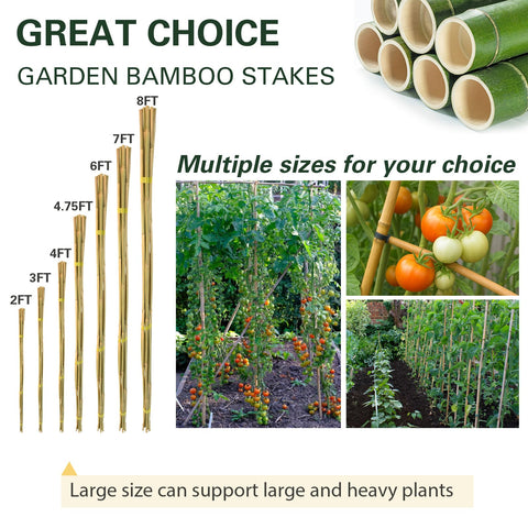 Sprigra flower bamboo stake provides reliable support in flower beds
