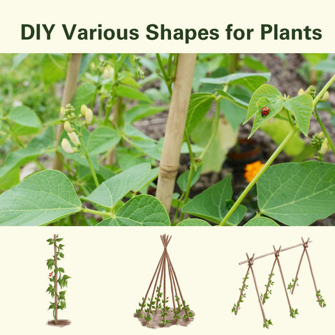 Sprigra stake positioned in a potted plant for steady growth guidance.