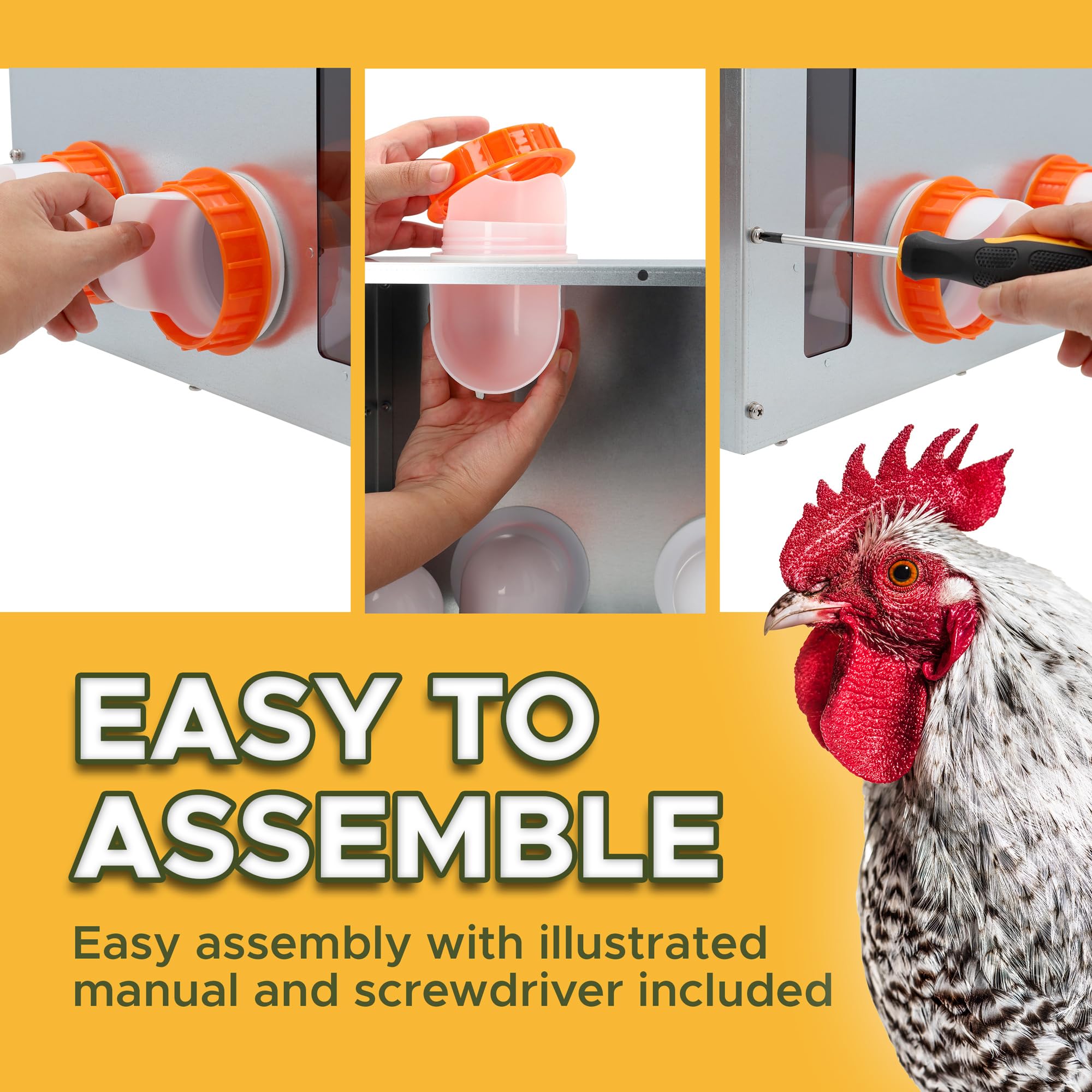 Sprigrown rodent-proof chicken feeder to deter pests